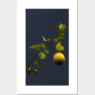 Lemon Tree at Night Posters and Art